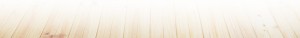 top_bg01