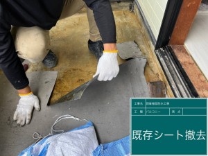 既存シート除去1
